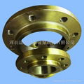 Forged Steel Flange 1