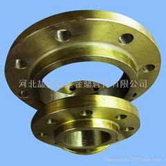 Forged Steel Flange