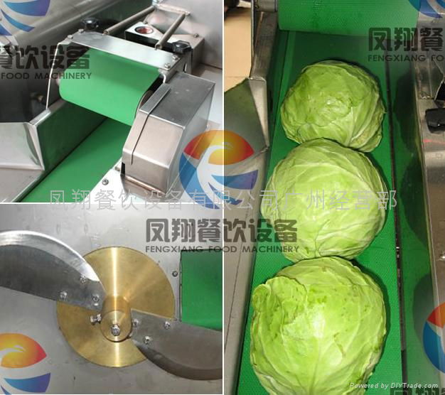 Vegetable cutting machine 4