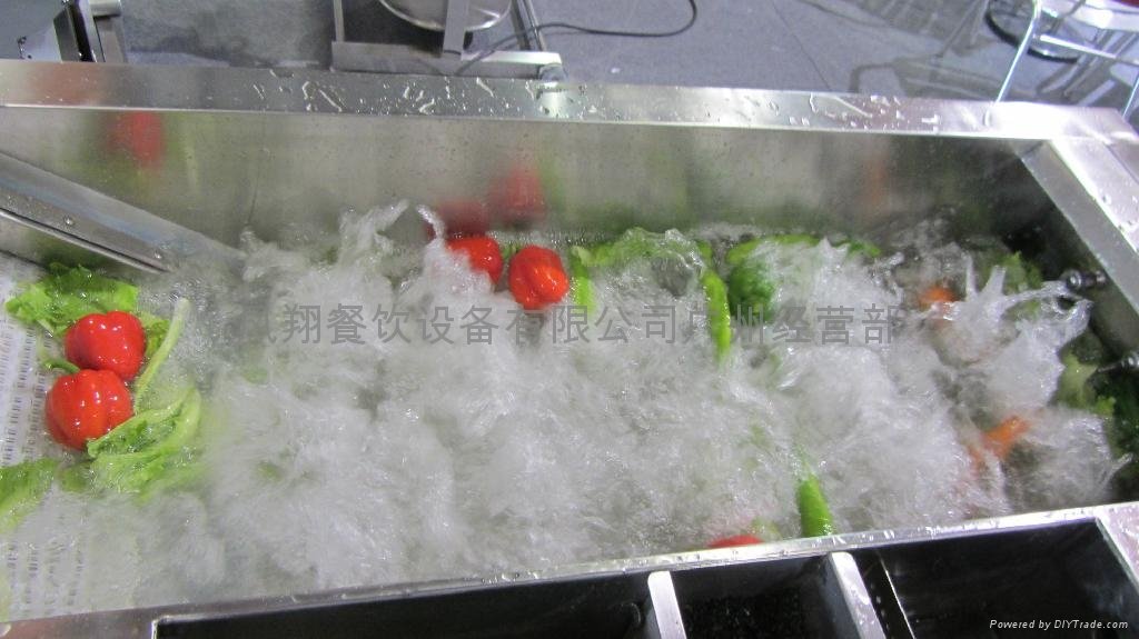 气泡翻滚式洗菜机 循环水装置 除虫 消毒杀菌 漂烫功能 4