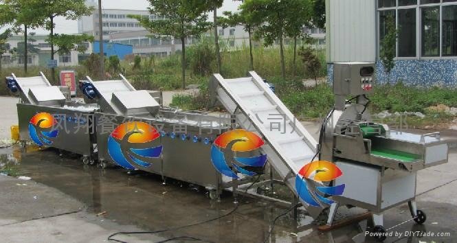 leaf vegetable cutting slicing washing cleaning production line