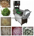 Vegetable cutting machine 1