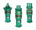QS型充水式潜水电泵 1