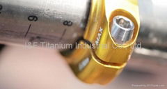 Ti clamp bolt