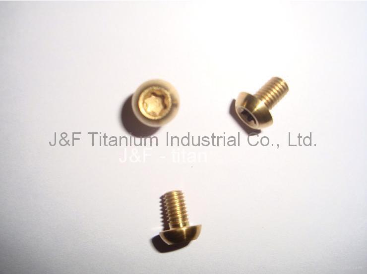 Titanium Rotor Bolt