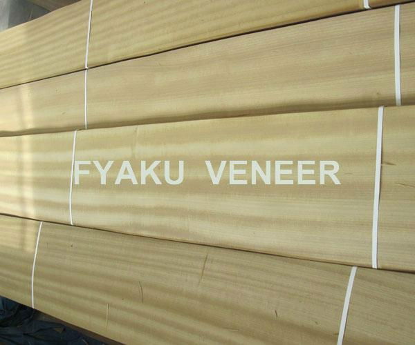 Golden Teak Veneer