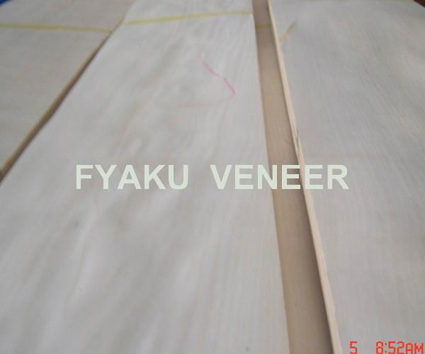 White Birch Veneer