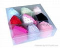 Clear Bra Storage Box 2