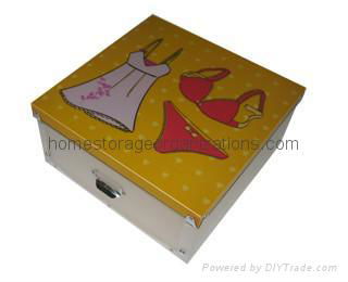 Plastic garment storage box 3