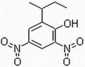 4,6-Dinitro-2-sec-butylphenol／DNBP 1