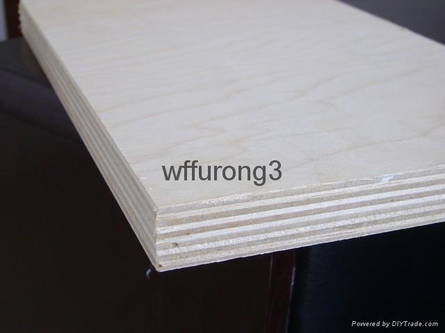 COMMERCIAL  PLYWOOD 4