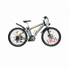 electric bike HQL-EB3009