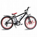 electric bike HQL-EB3022 1