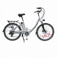 electric bike HQL-EB3012 1