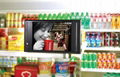 10" 1001p advertising player, digital signage, LCD AD player 3