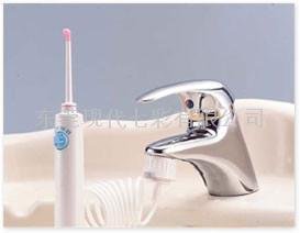 ProFloss 沖牙機 洗牙器 旅行