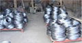 Galvanized Iron Wire  2