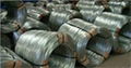 Galvanized Iron Wire