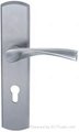 Door handle with plate