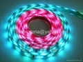 Fantasy RGB Flexible LED Strip