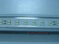 Fluorescent Tube Lamp 1