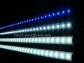 Fluorescent Tube Lamp 5
