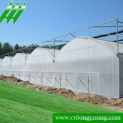 Multi-span Greenhouse