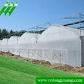 Multi-span Greenhouse