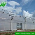 Multi-span Greenhouse 2