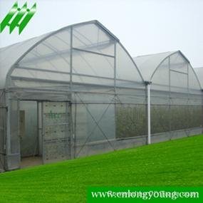 Multi-span Greenhouse 3