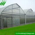 Multi-span Greenhouse 3