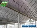 Multi-span Greenhouse 4