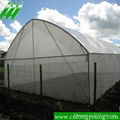 Economical Tunnel Greenhouse 2