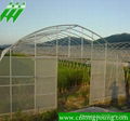 Economical Tunnel Greenhouse 3