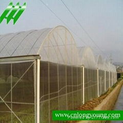 Muti-Span Plastic Greenhouse  