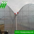 Muti-Span Plastic Greenhouse   2