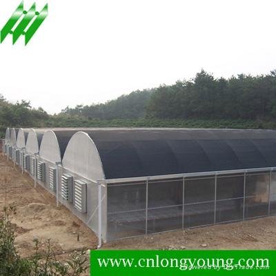 Muti-Span Plastic Greenhouse   3