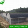 Muti-Span Plastic Greenhouse   3