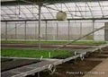 Polycarbonate(PC) greenhouse 3