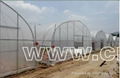 Economical Tunnel Greenhouse