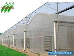 CN LongYoung Greenhouse Company Limited