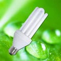 Energy Saving Lamp  3