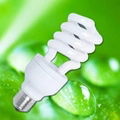 Energy Saving Lamp  5