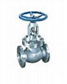 ss flange globe valve class300 1