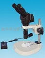 MZDH1065BT高級單筒視頻顯微鏡 1