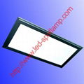 RGB LED Light Panel 300X600mm 2