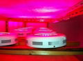 LED Grow Light