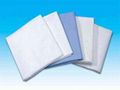 Nonwoven sheet 1