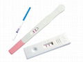 Pregnancy test kit