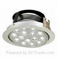 LED down light